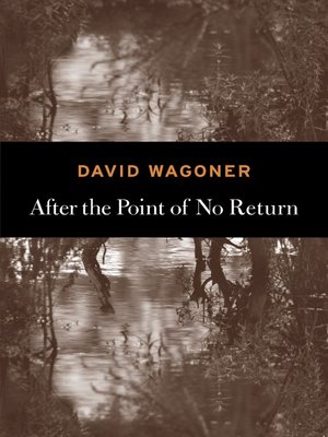 cover image of After the Point of No Return